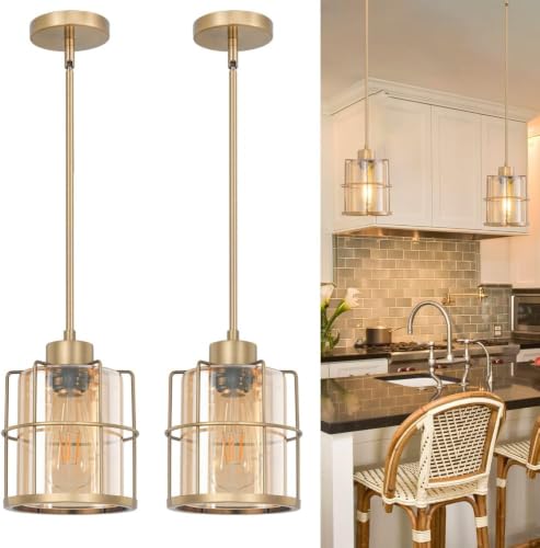 Wire Cage Pendant Light with Adjustable Cable Set of 2