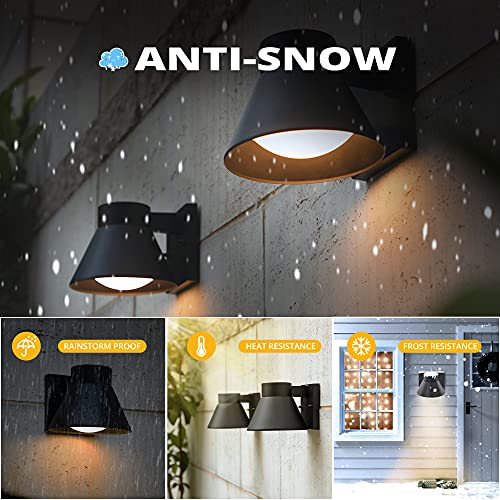 2 Pack LED Outdoor Wall Light Fixtures (Black)