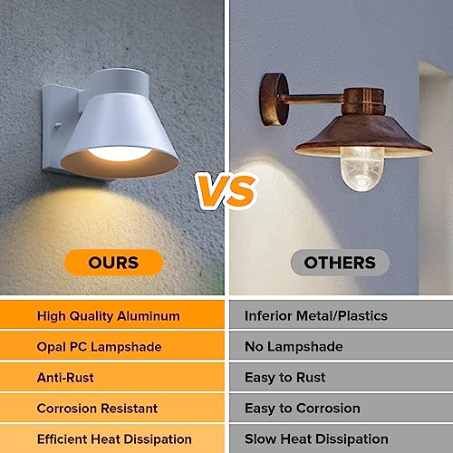 2 Pack LED Outdoor White Front Porch Lights (C-White)