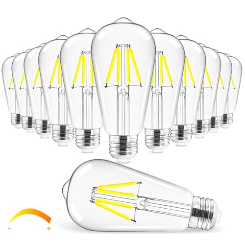 Edison Bulbs Dimmable (Daylight White)