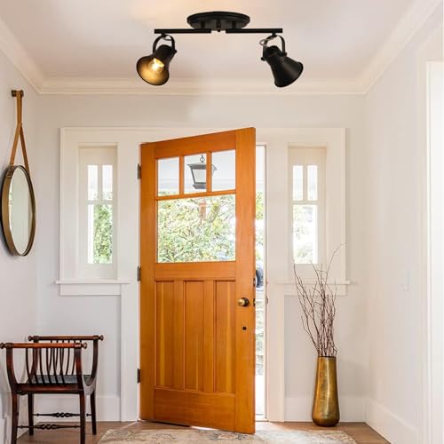 2 Light Track Lighting Kit (2-Light / Black)