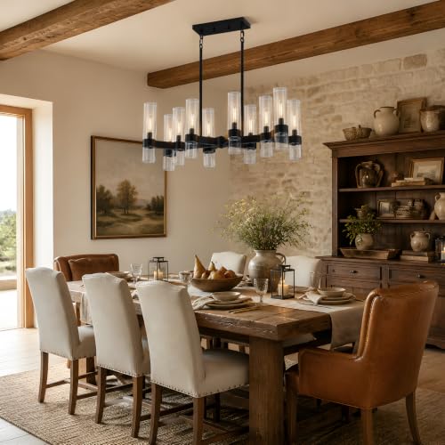 10 Light Black Chandeliers for Dining Room with Clear Glass Shade (Black / 10-Light L32")