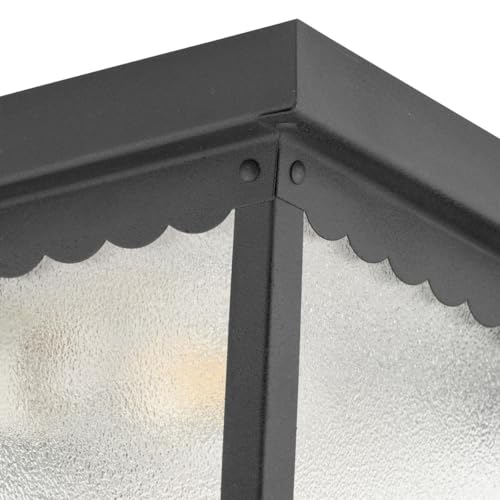 9.25" 2 Light Flush Mount Light (Matte Black / 9.25-Inch Diameter x 5-Inch Height / 2-Light)