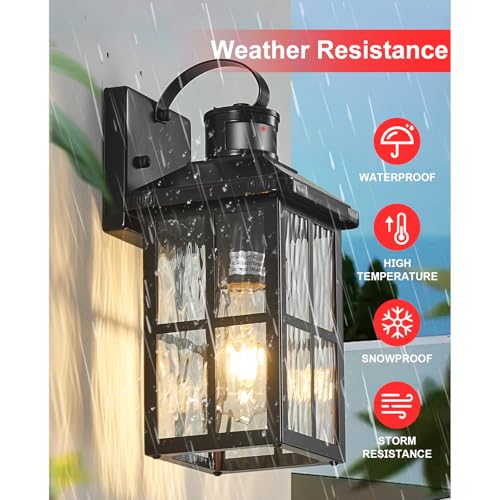 Porch Lights Outdoor with Remote (1 Black RW)