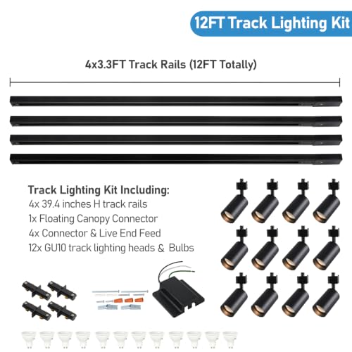 12FT LED Track Lighting Kit with 3 (Black)
