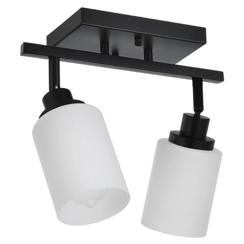 Wall Sconce Track Lighting Kit (Black / 2-Lights)