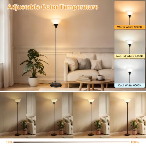 Floor Lamp for Living Room (Black)