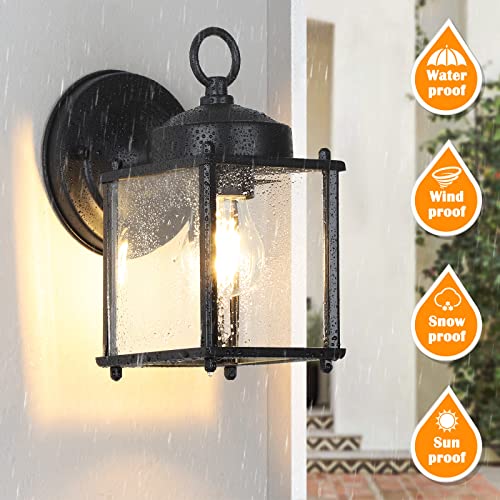 Outdoor Wall Lantern (Black / 8.27 inch)
