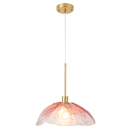 Farmhouse Pendant Hanging Light Fixture for Dining Room Foyer Hallway Bar Cafe Kitchen