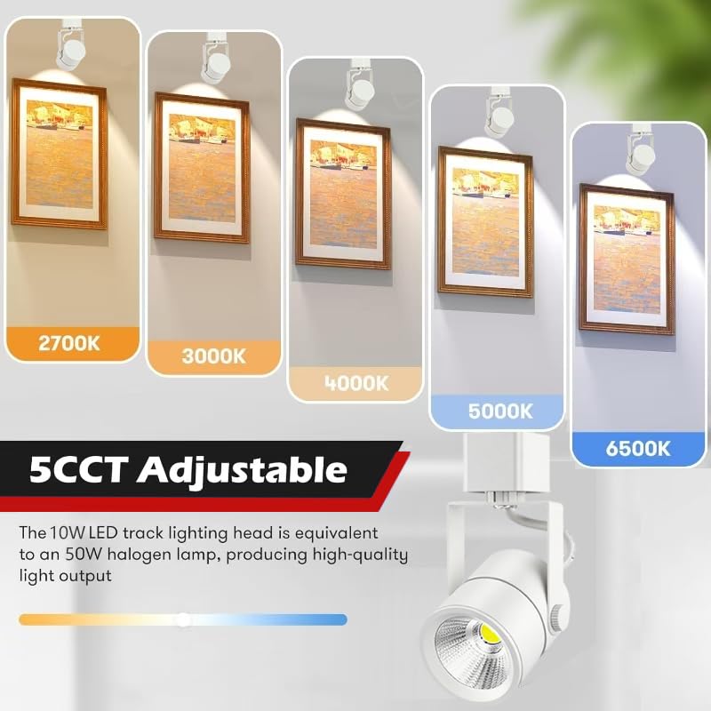 6 Light Track Lighting Kit with 6.6FT H Type Track Lighting Rail and Floating Canopy Connector (White / 6 Lights)