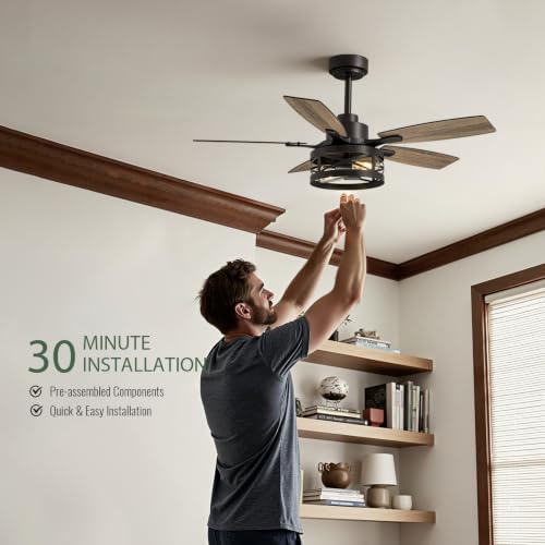 Inch Ceiling Fan with Light and Remote Control (Black / 42 Inch)