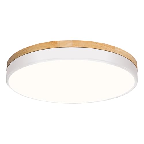 Round LED Flush Mount Ceiling Light