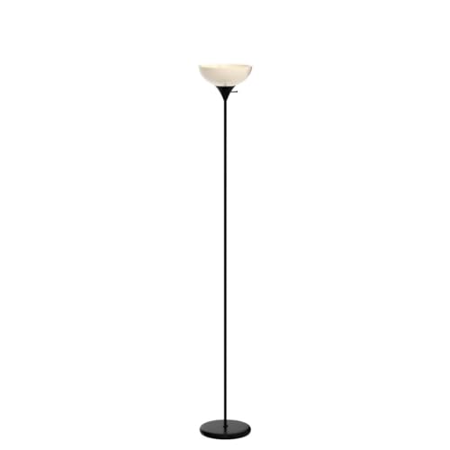 Sky Dome Dimmable LED Floor Lamp (Jet Black)