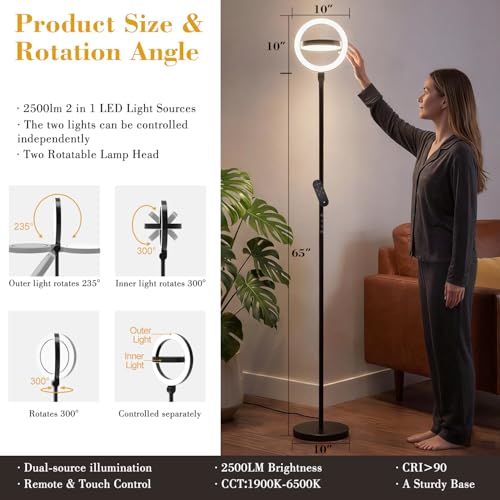 36W 2500lm Bright LED Floor Lamp for Living Room (Black)
