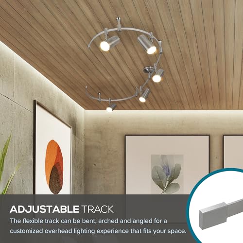 Ellipse Track Ceiling Light with 5 Adjustable LED Heads (Brushed Nickel)