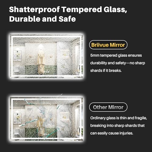 66x40 Inch LED Bathroom Mirror with Lights (Backlit+front Lit / 66"L x 40"W)
