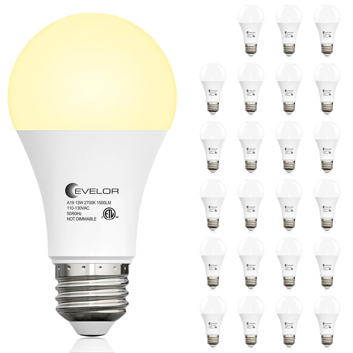 A19 LED Light Bulbs (Soft White 2700k / 24 Pcs)