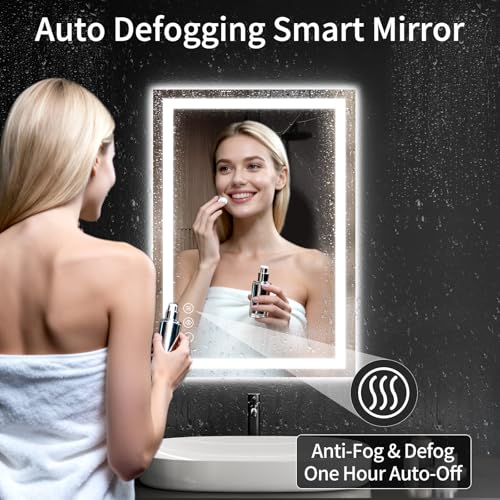 22"x30" Lighted LED Bathroom Mirror with Lights (30"L x 22"W)