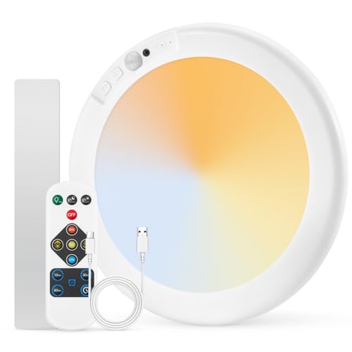 Battery Operated Ceiling Light with Remote