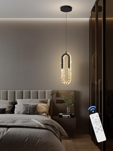 Modern Pendant Lighting 1 (Black / 1 Ring)