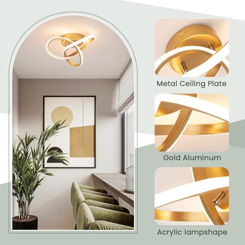 Modern LED Ceiling Light Gold Dimmable Hallway Ceiling Light (Gold, Dimmable)