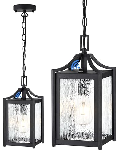 Outdoor Pendant Lights (Black / Small-Water Glass)