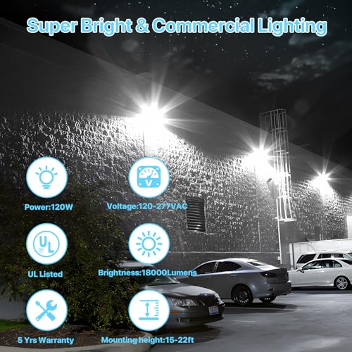 LED Wall Pack Light (120W)