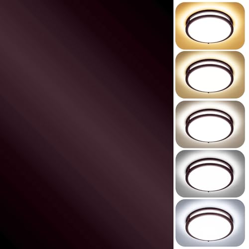 36W LED Ceiling Light Fixture