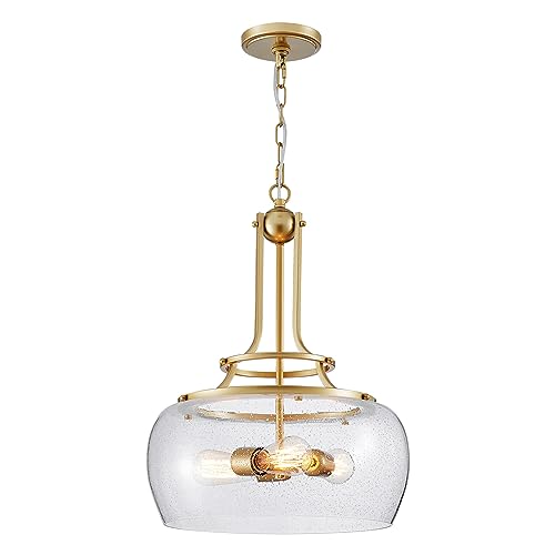 Rustic Farmhouse Round Globe Drum Shade Chandelier Pendant Light