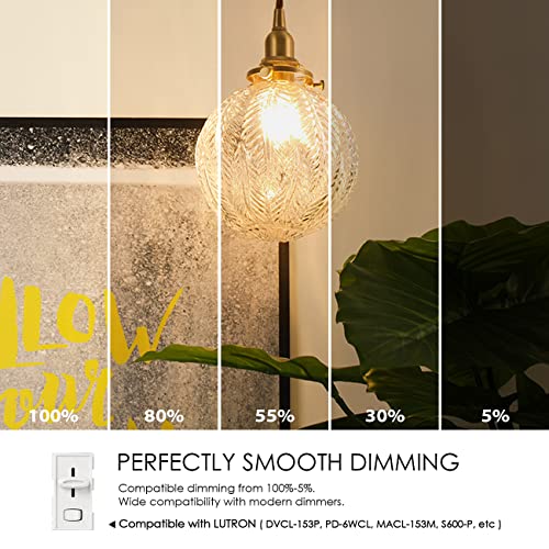 G14 LED Filament Globe Bulb Dimmable (5.5w-transparent / 6 Count (Pack of 1))