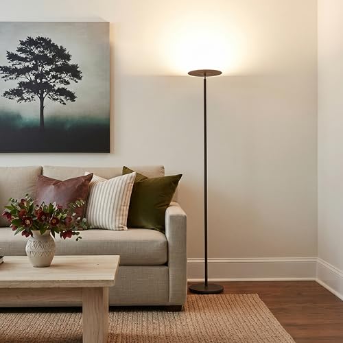 Sky Flux Dimmable LED Floor Lamp (Black)