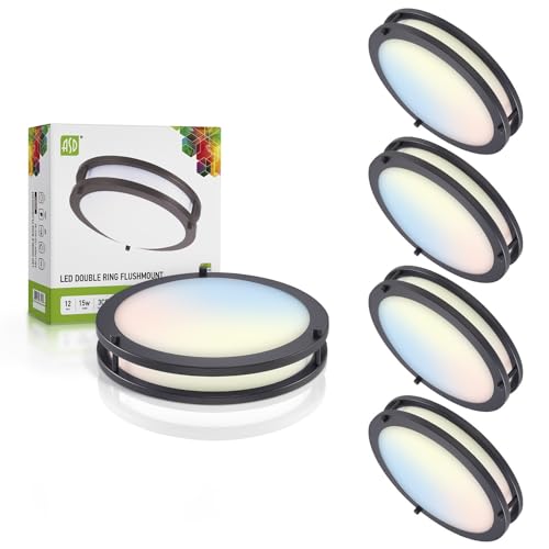 LED 12" Round Flush Mount Lighting (Black)