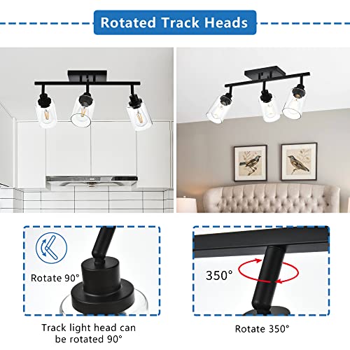 3 Light Bathroom Vanity Light Black with Rotatable Track Head (Black / 3-Light)