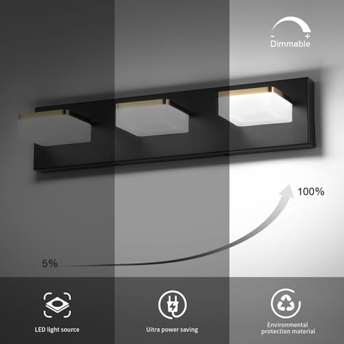3 Light Bathroom Vanity Light (3-Light,20Inch / Black)