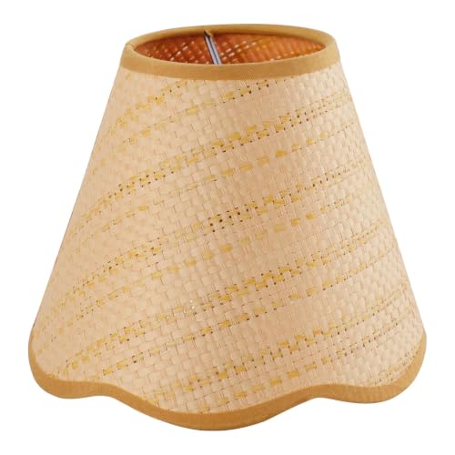 clip on lamp shade