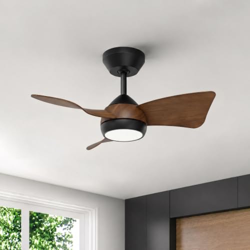 30 Inch Small Ceiling Fan with Light (Black & Walnut / 30 Inch)