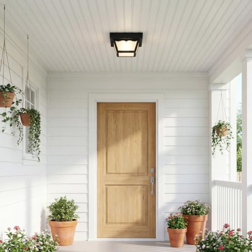 1 Light Indoor and Outdoor Flush Mount Ceiling Light (Textured Black / 8.25-Inch Diameter x 4.75-Inch Height / 1-Light)