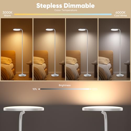 36W LED Floor Lamp (Silver)