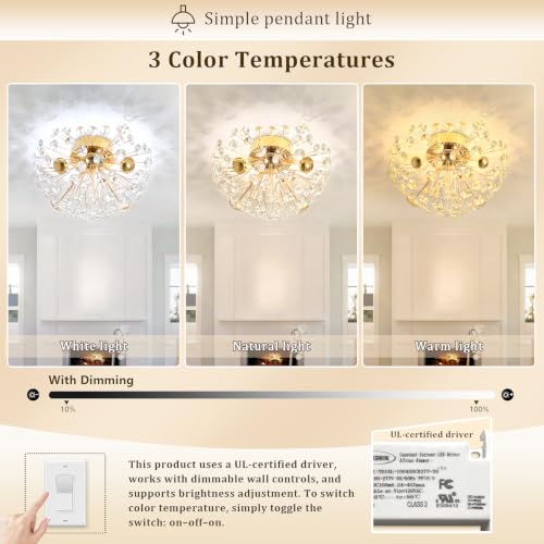 Modern Dandelion Firework Sputnik Chandelier Pendant Light for Living Room