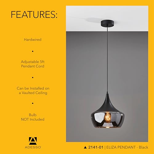 Hanging Pendant (Black / Pendant)