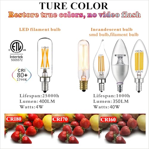 T6 E12 Candelabra Bulb 40 watt (Warm White 2700k 4w)
