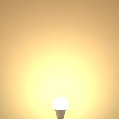 A19 LED Light Bulbs