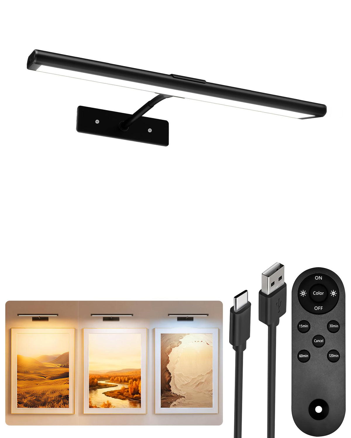 Picture Light for Wall (Black / 13inch)