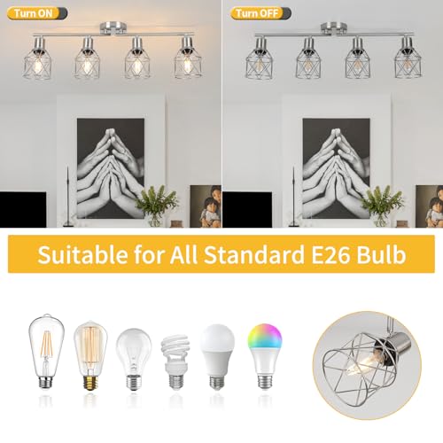 Ceiling Lighting Fixtures (Brushed Nickel / 4-Light-Cage)