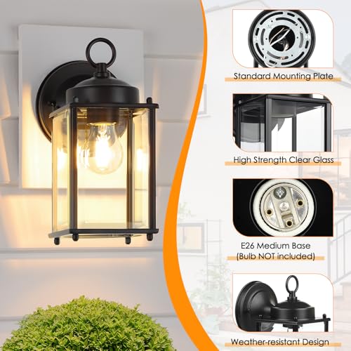 Outdoor Wall Lantern (Black / 10.24 inch)