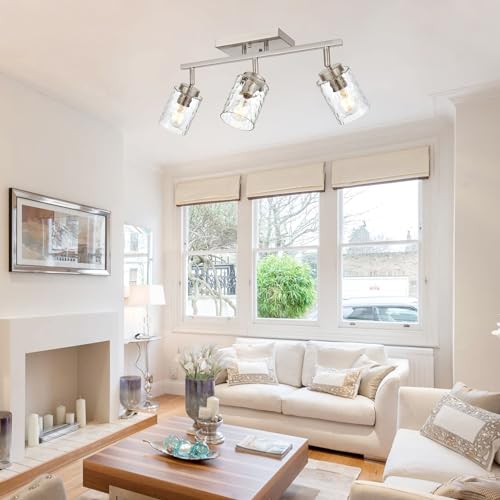 Track Lighting Fixtures Ceiling (Brushed Nickel / 3 Lights)