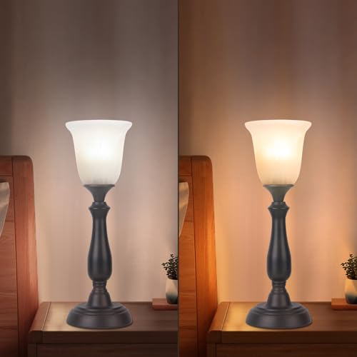 Farmhouse Table Lamp for Living Room (Dark Brown)