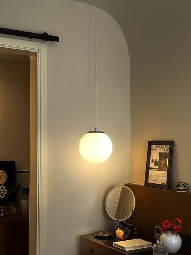 Globe Pendant Light (Black-White / Globe 1-Light)