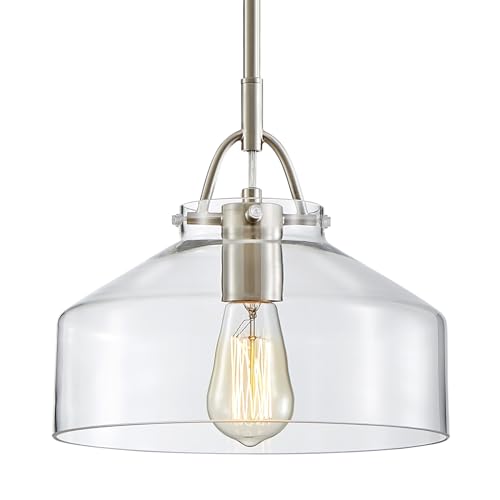Pendant Chandelier Light with Glass Shade