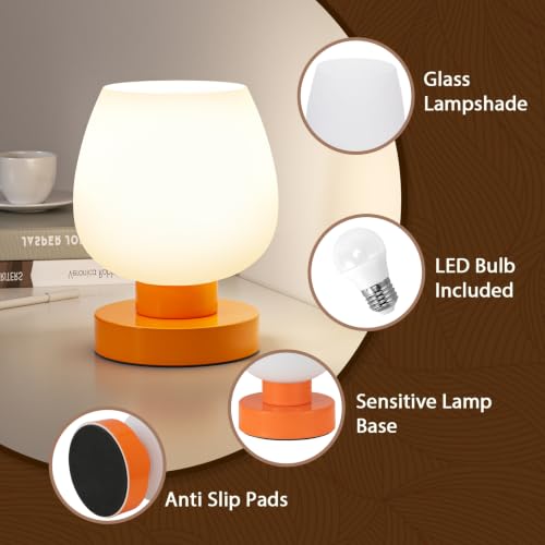 Small Touch Table Lamp for Nightstand (Orange)